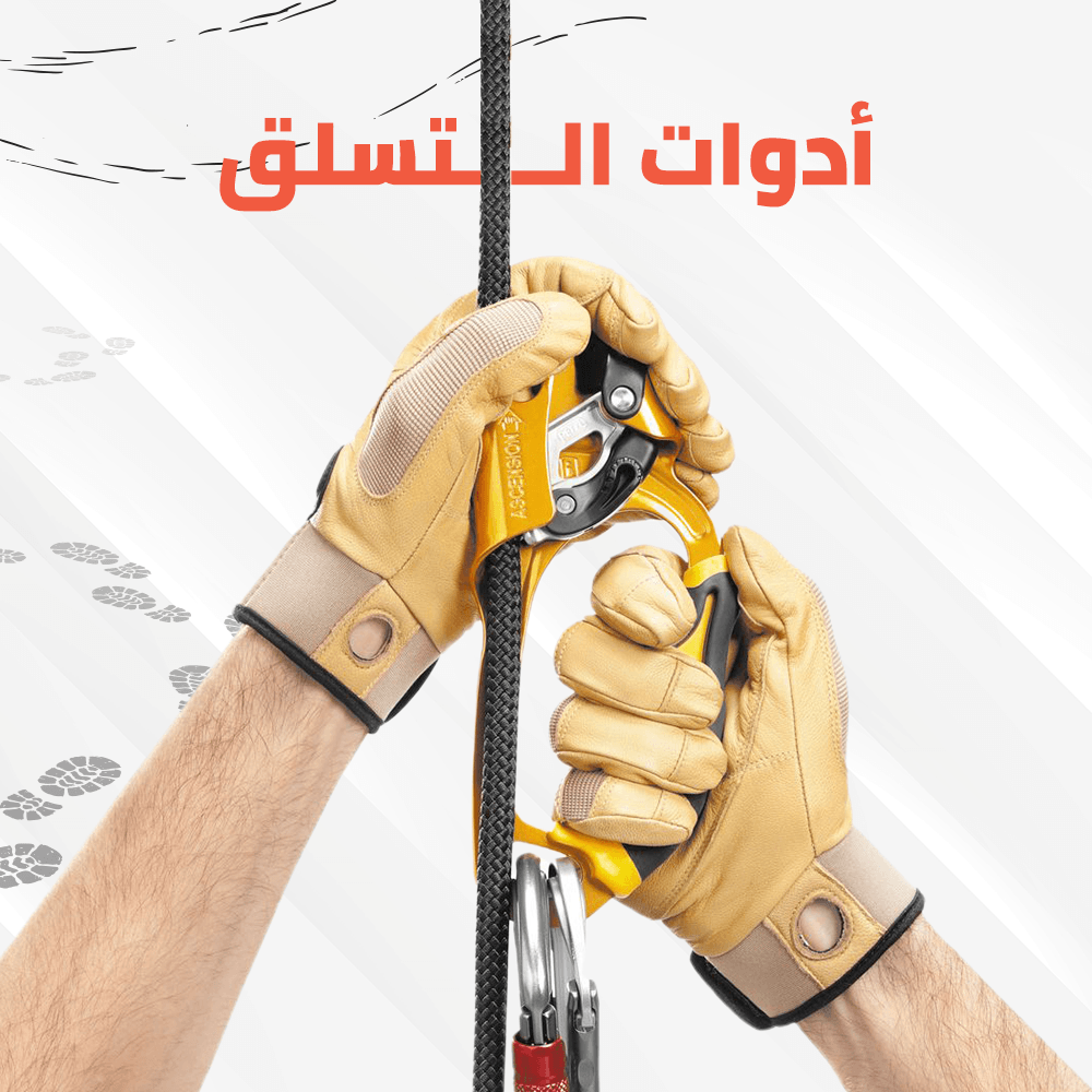 Banner Image 02