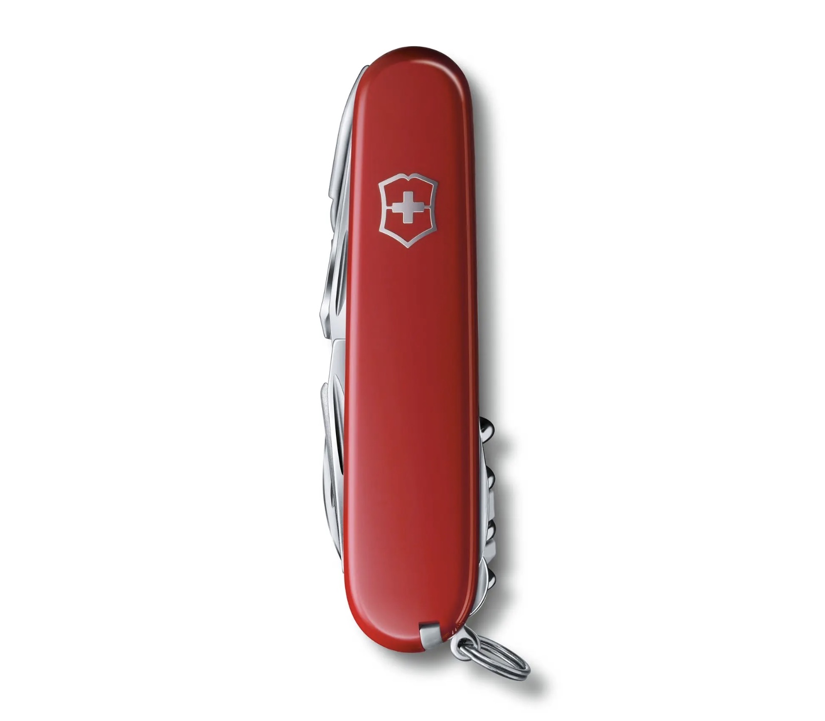 SWISS CHAMP