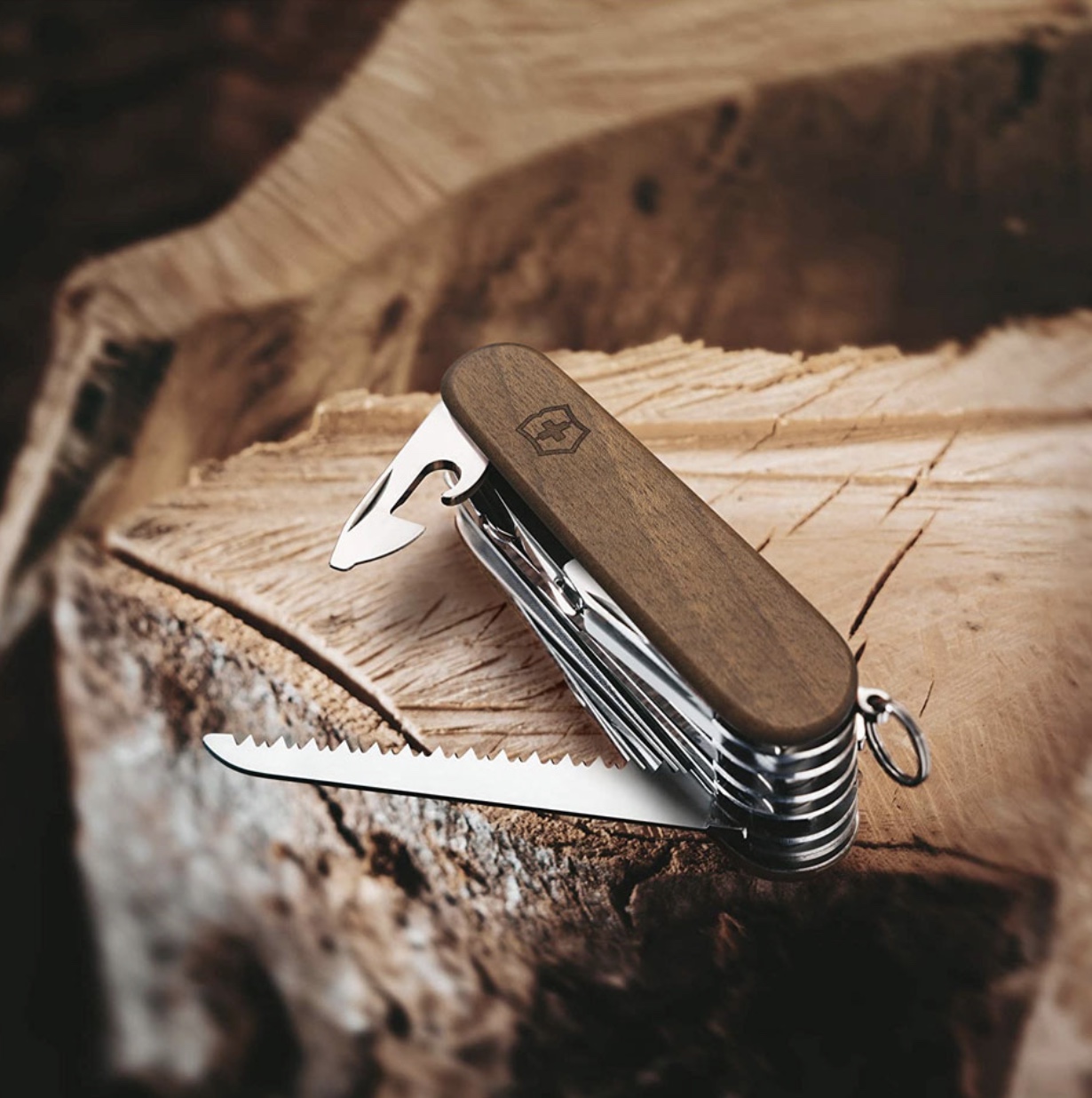 SWISS CHAMP WOOD
